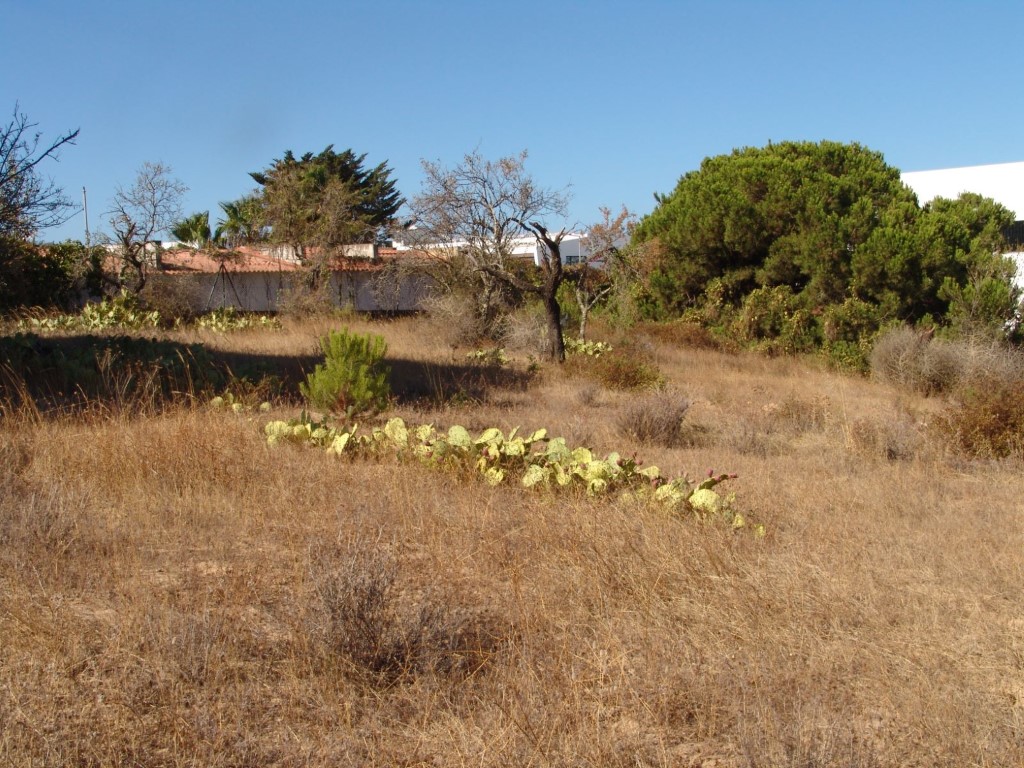 Land_for_sale_in_Loulé_SMA10834