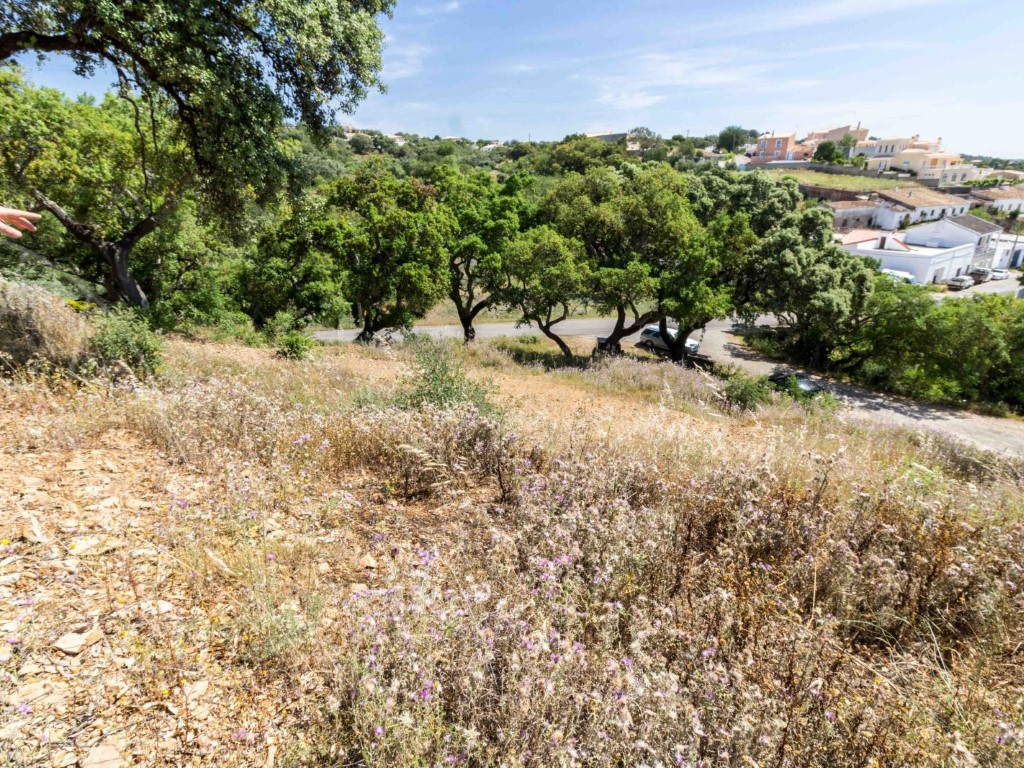 Urban Land_for_sale_in_São Brás de Alportel_SMA10876