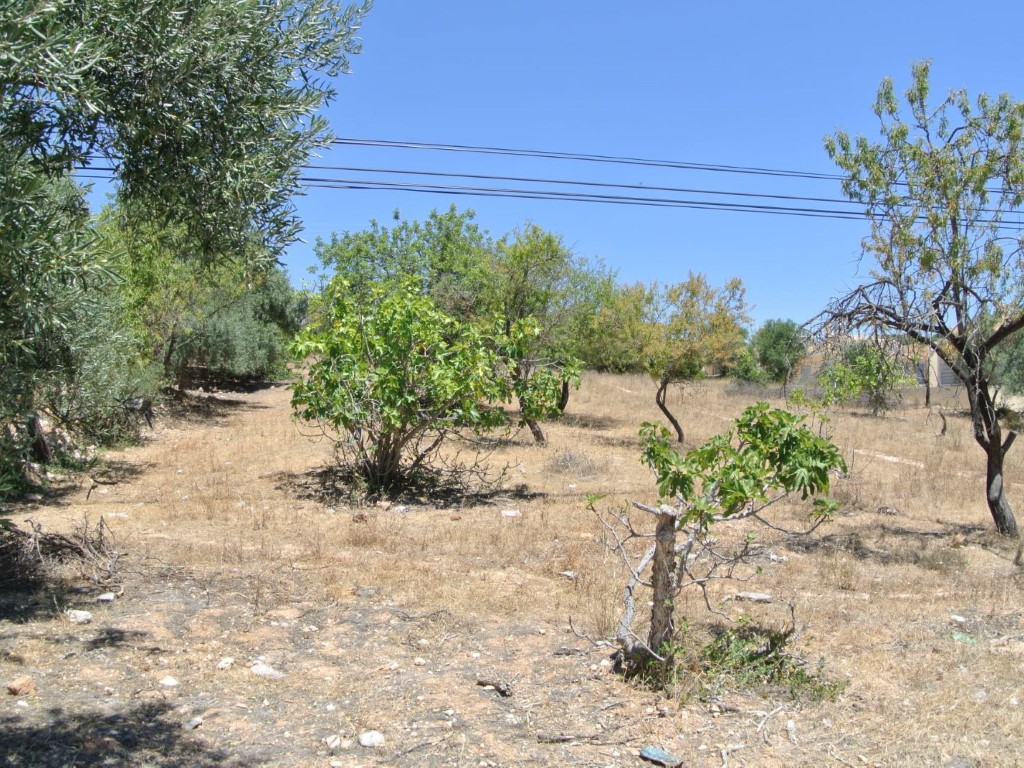 Land_for_sale_in_Faro_SMA11101