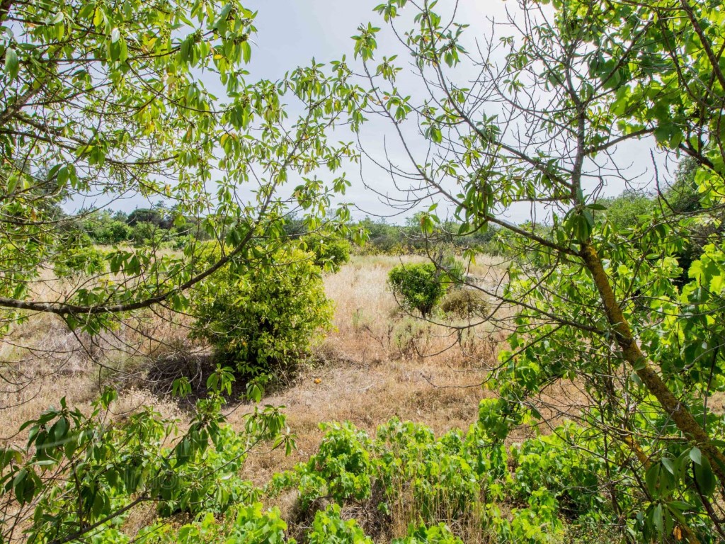 Land_for_sale_in_Loulé_SMA11567
