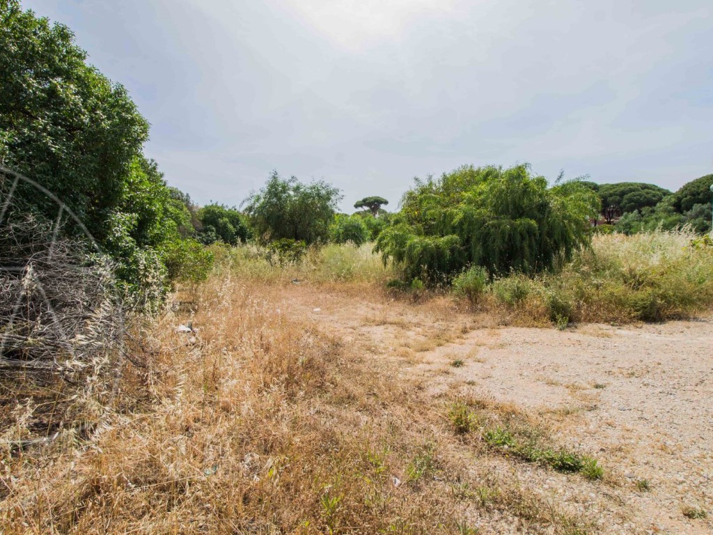 Land_for_sale_in_Loulé_SMA11583