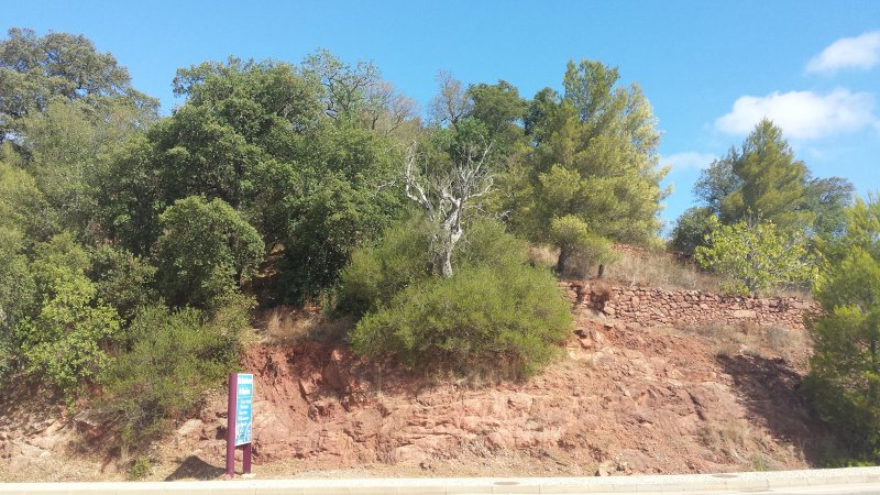 Land_for_sale_in_Silves, Albufeira, Guia_SMA11882