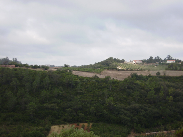 Land_for_sale_in_Alcobaca_SCO11924