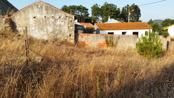 Land_for_sale_in_S. Martinho do Porto_SCO12823