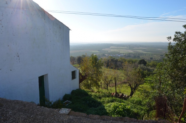 Country House_for_sale_in_S. Bartolomeu de Messines, Silves_SMA13050