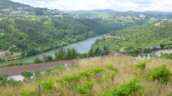 Palace_for_sale_in_Porto, Oliveira do Douro, Vila Nova de Gaia_SMA13077