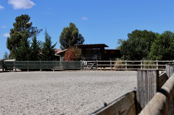 Equestrian Property_for_sale_in_Tavira, Fuzeta, Moncarapacho_SMA13176