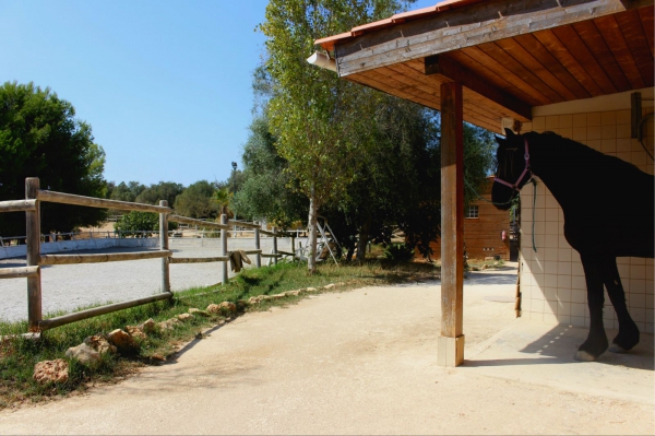 Investment Property_for_sale_in_Mexilhoeira Grande_SMA13201