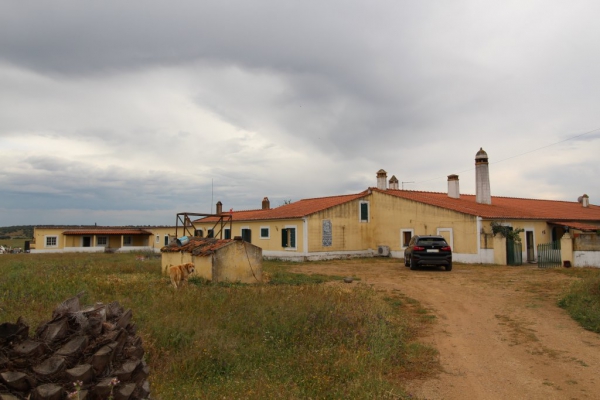 Equestrian Property_for_sale_in_Serpa_SMA13367