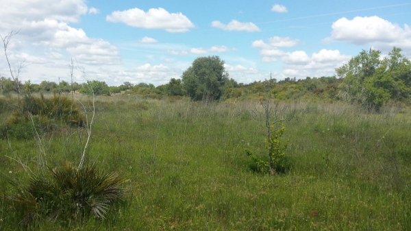 Land_for_sale_in_Albufeira_SMA13368
