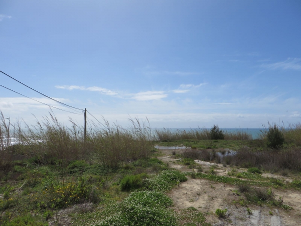 Land_for_sale_in_Lourinha_SMA13378