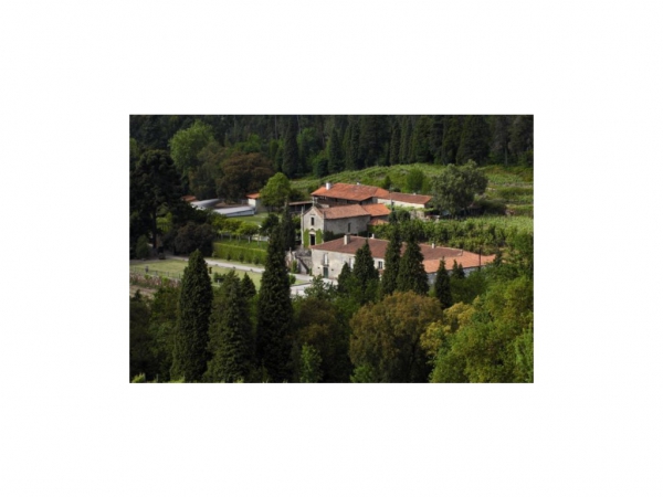 Palace_for_sale_in_Braga_PSE13449