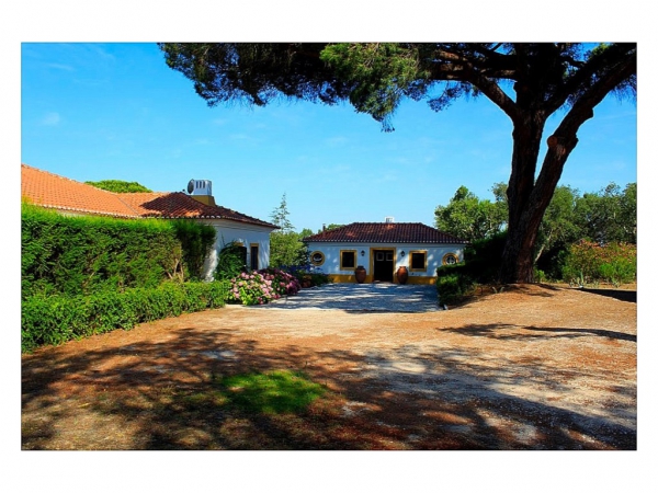 Country House_for_sale_in_Benavente_PSE13457