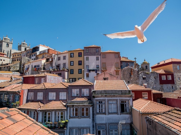 Apartment_for_sale_in_Oporto_PSE13469