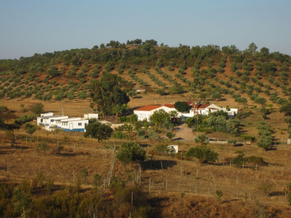 Investment Property_for_sale_in_Evora_SMA13573