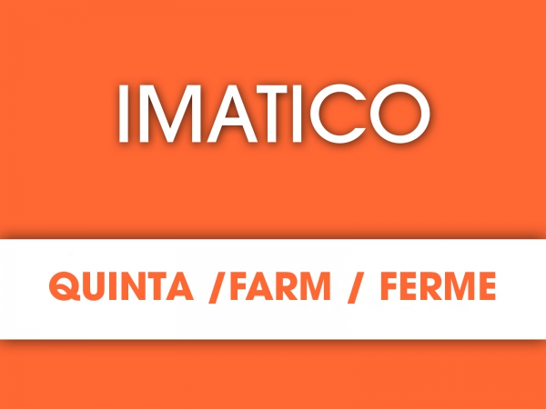 Country House_for_sale_in_Sintra_SMA13588