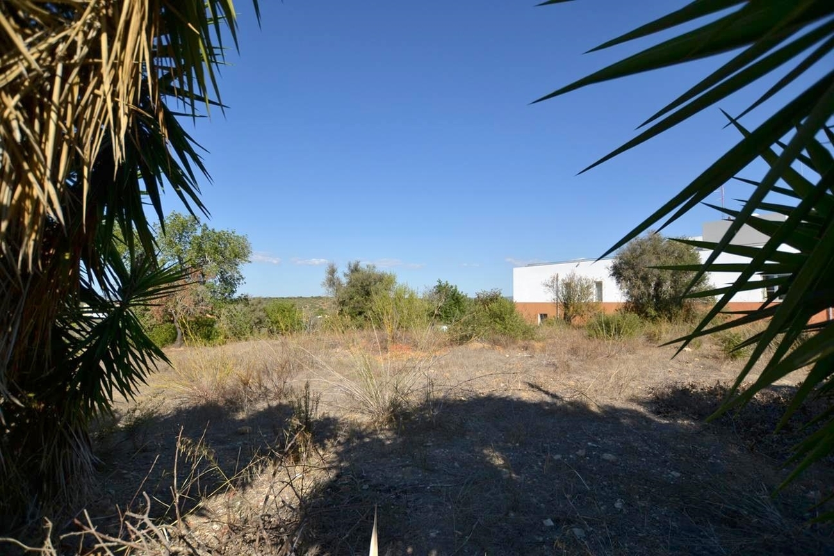 Land_for_sale_in_Algoz_LSA13943