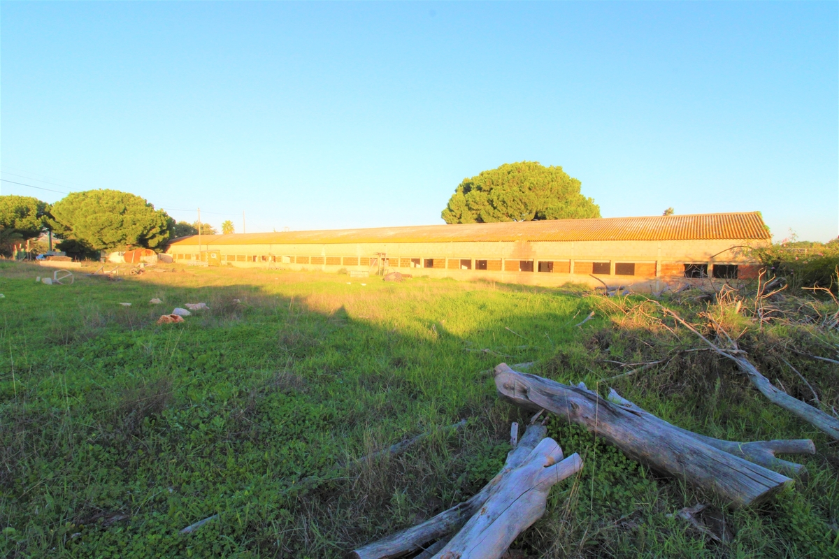 Land_for_sale_in_Almancil_LSA13947