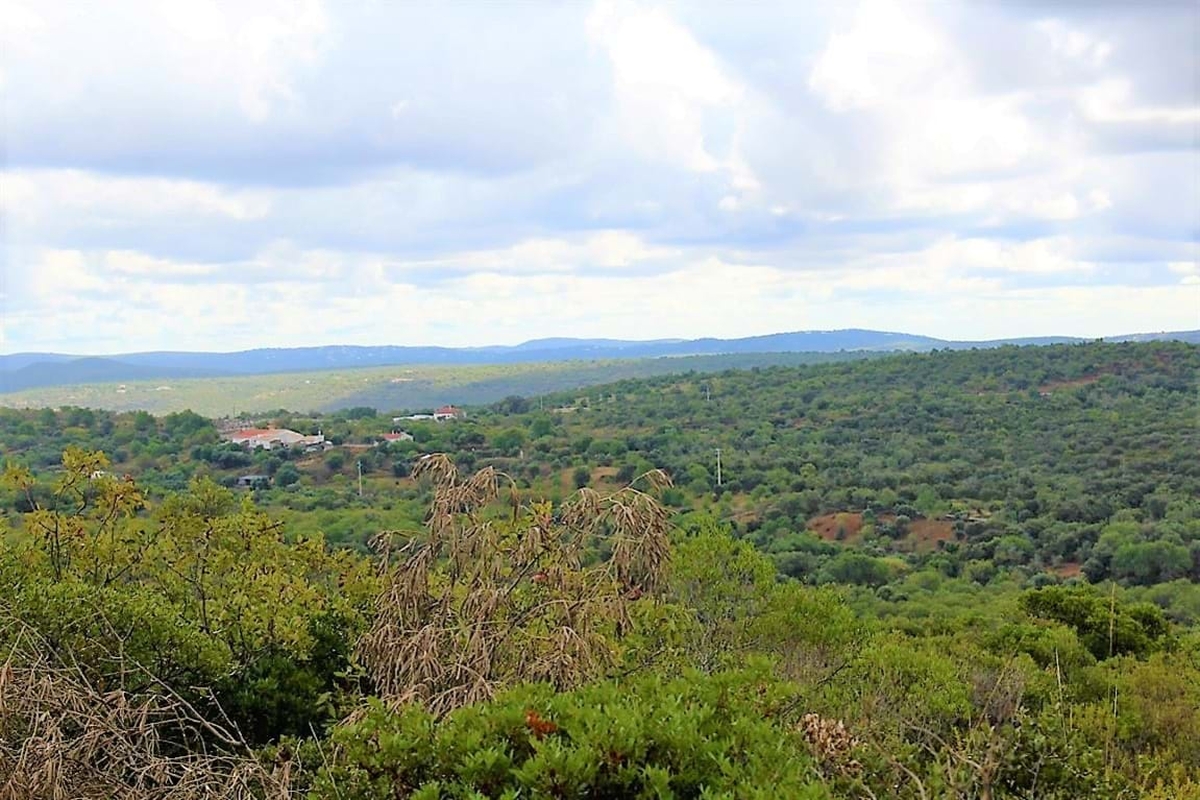 Land_for_sale_in_Alte_LSA13955