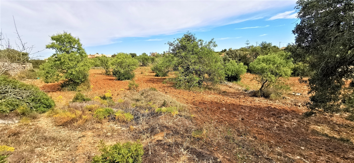 Land_for_sale_in_Albufeira_LSA14013