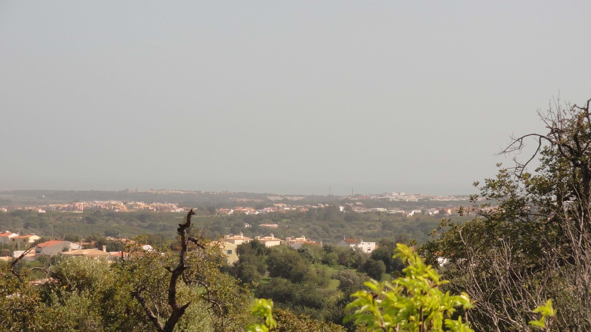 Land_for_sale_in_Ferreiras_LSA14035