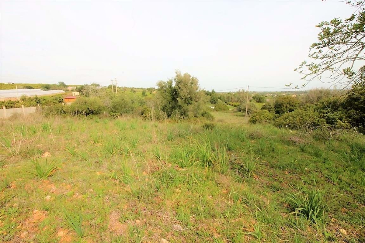 Land_for_sale_in_Silves_LSA14118