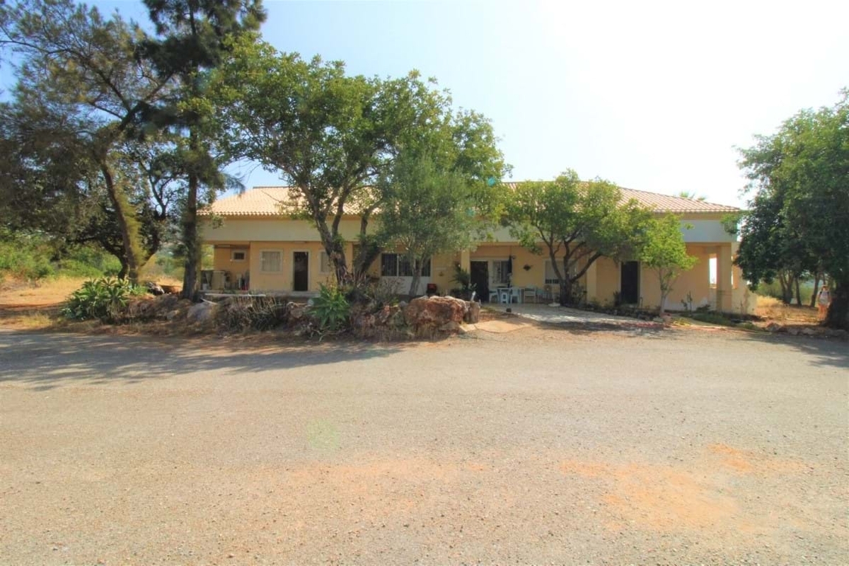 Farm_for_sale_in_Santa Barbara de Nexe_LSA14127