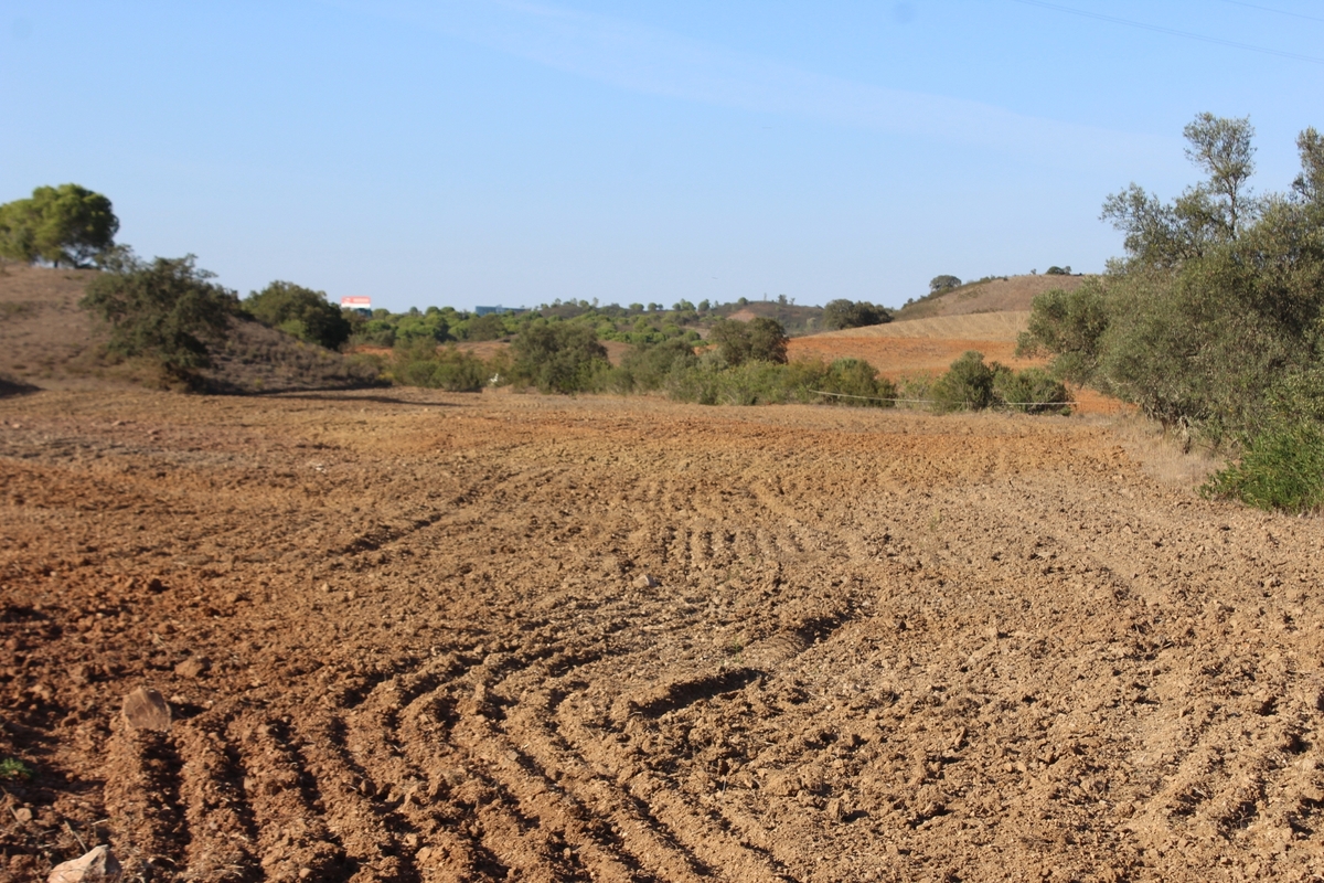 Land_for_sale_in_Sao Bartolomeu de Messines_LSA14140