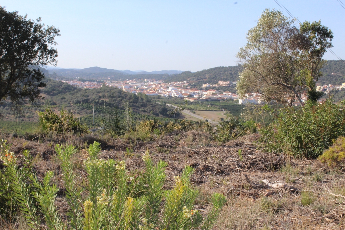 Land_for_sale_in_Sao Bartolomeu de Messines_LSA14141
