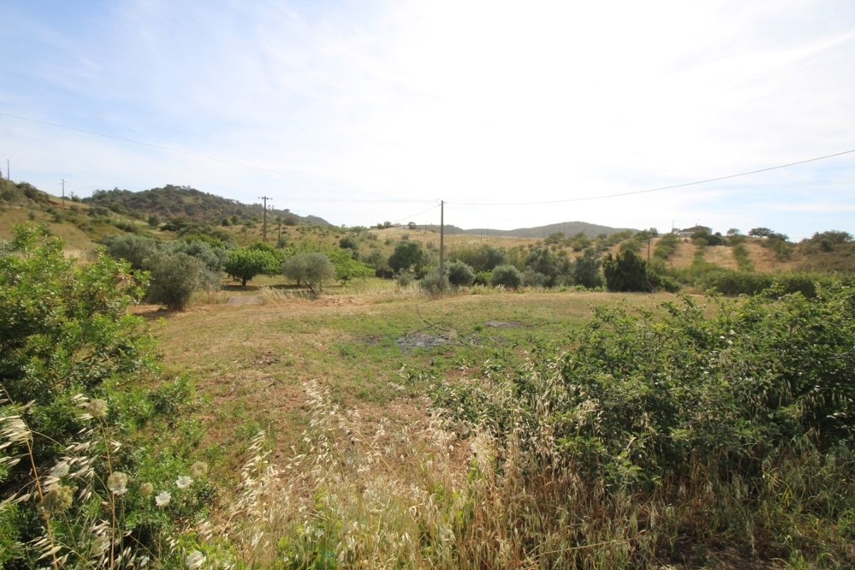 Land_for_sale_in_Sao Bartolomeu de Messines_LSA14142