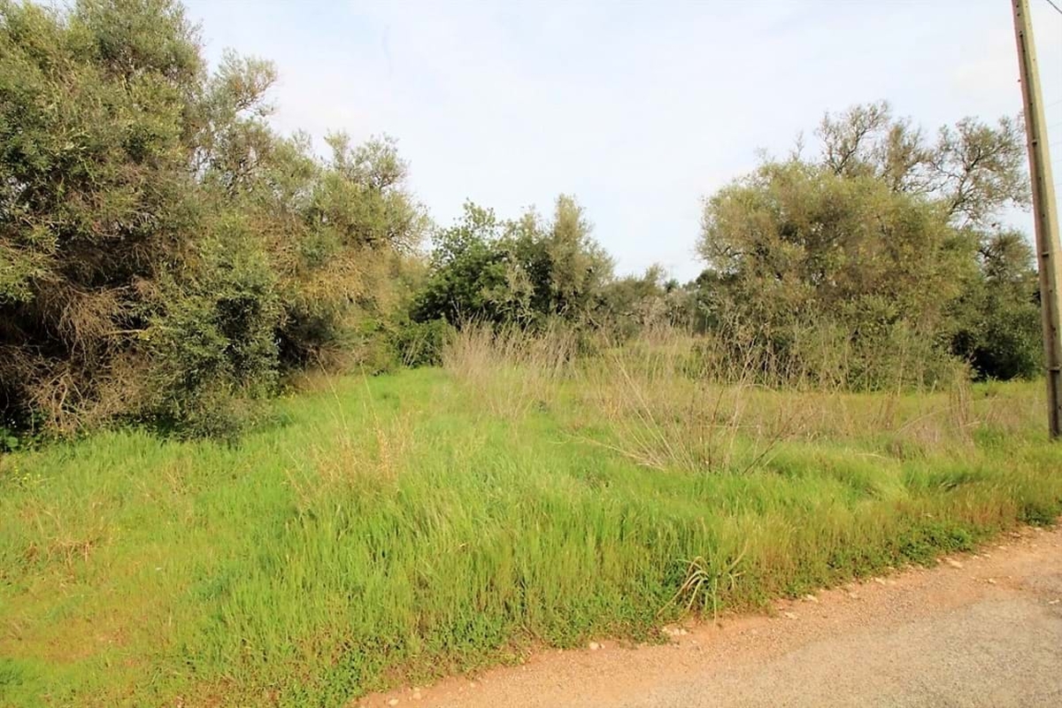 Land_for_sale_in_Sao Bartolomeu de Messines_LSA14143