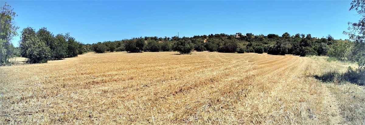 Land_for_sale_in_Silves_LSA14189