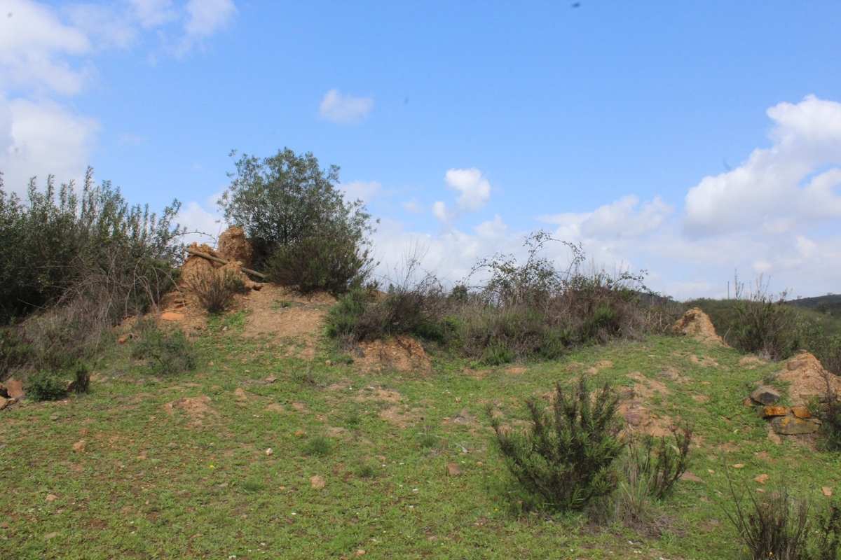 House_for_sale_in_Silves_LSA14320