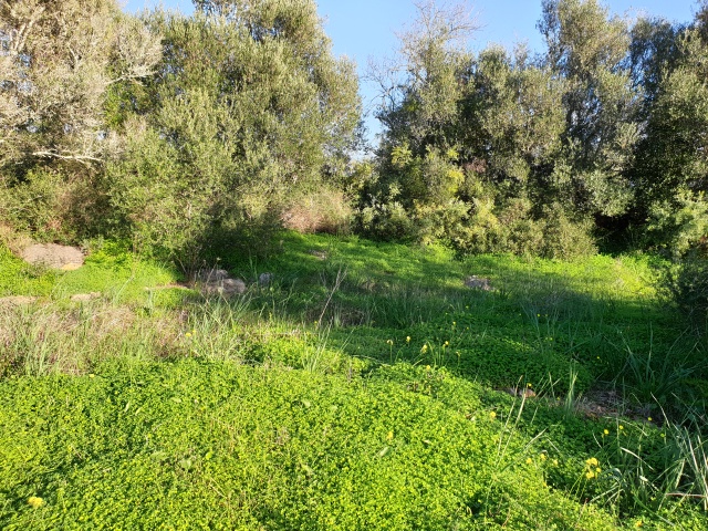 Land_for_sale_in_Albufeira_JKL14339