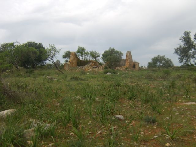 Ruin_for_sale_in_Farreiras_SMA14356