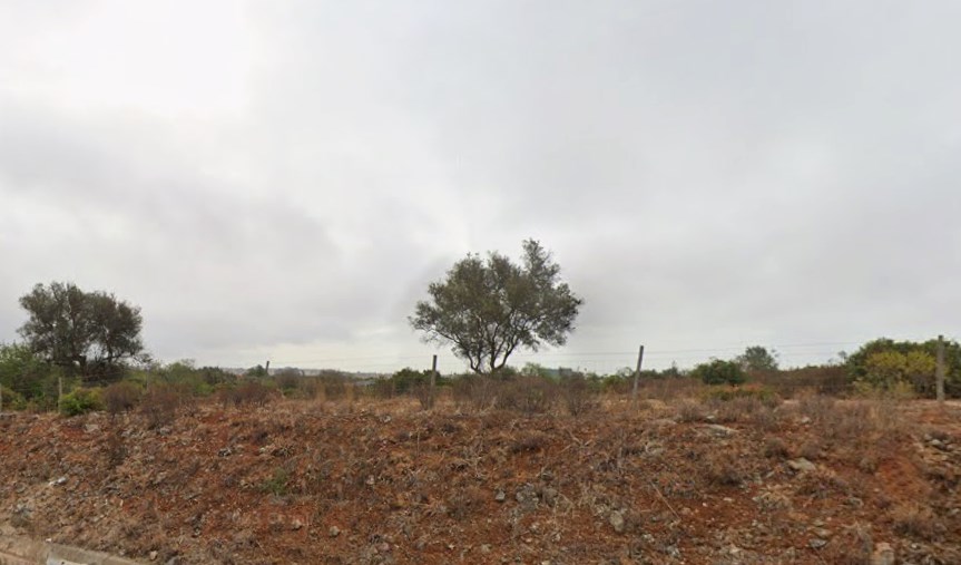 Forestry_for_sale_in_Ferreiras_SMA14487