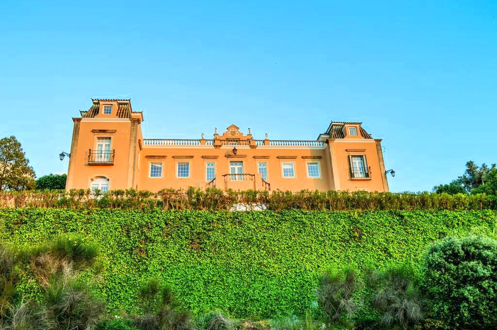 Palace_for_sale_in_Silves_SMA14488