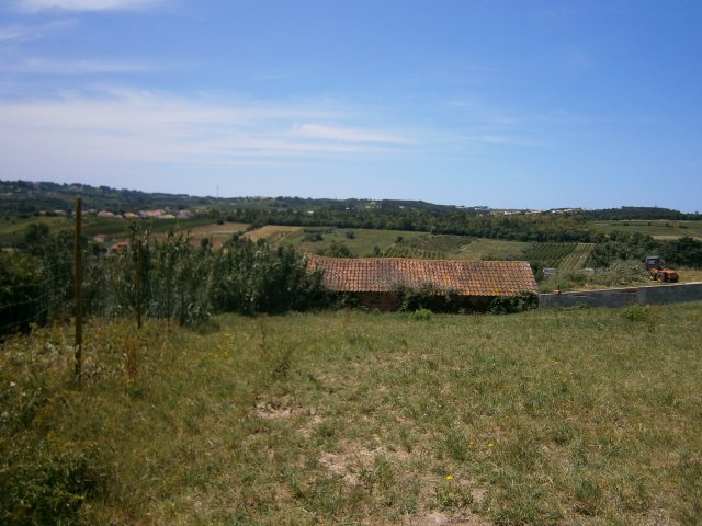 Land_for_sale_in_Alcobaca_SMA6332
