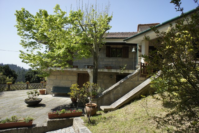 Vineyard_for_sale_in_Amarante_SMA6932