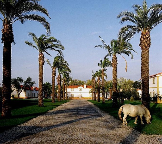Hotel_for_sale_in_Abrantes_SMA7613