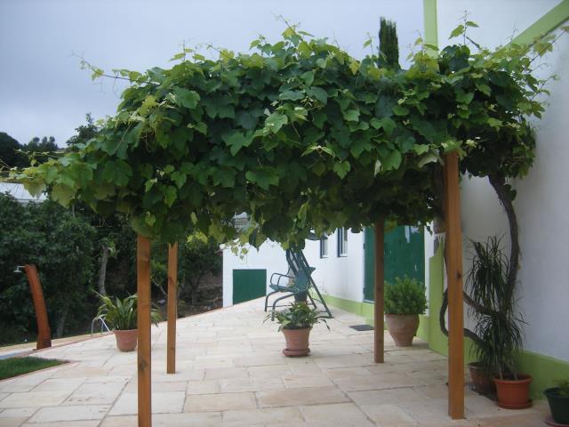 Villa_for_sale_in_Loures_SLI7817