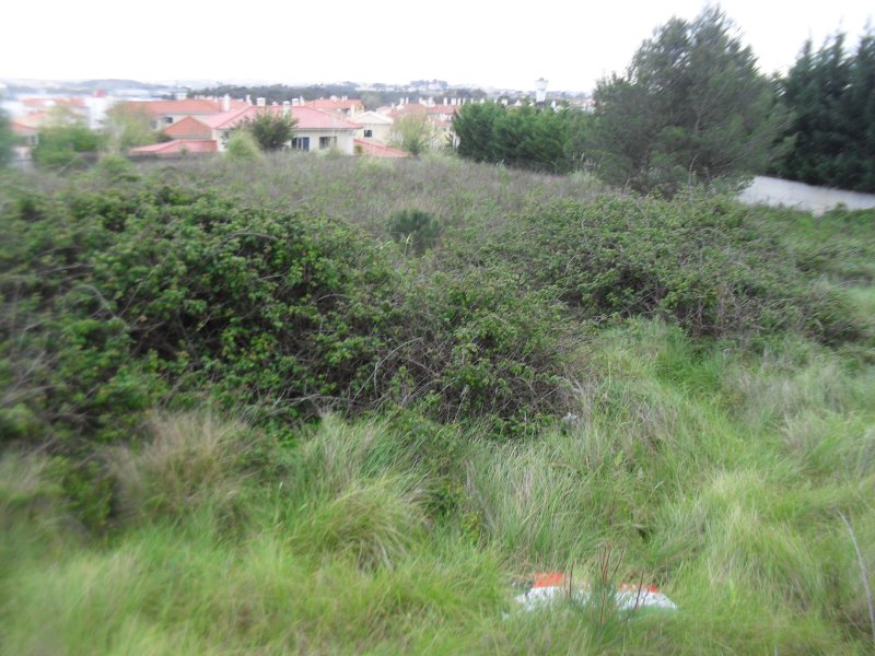 Land_for_sale_in_Sintra_SLI8005
