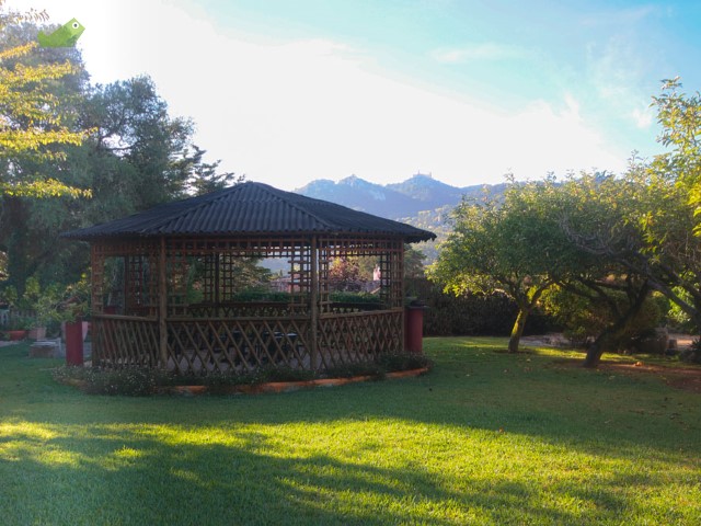 Villa_for_sale_in_Sintra_SLI8284