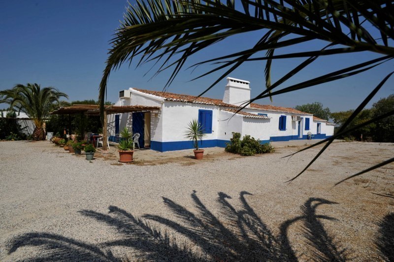Bed & Breakfast_for_sale_in_Grandola_SMA8306