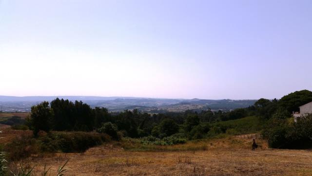 Land_for_sale_in_Alcobaca_SCO8352