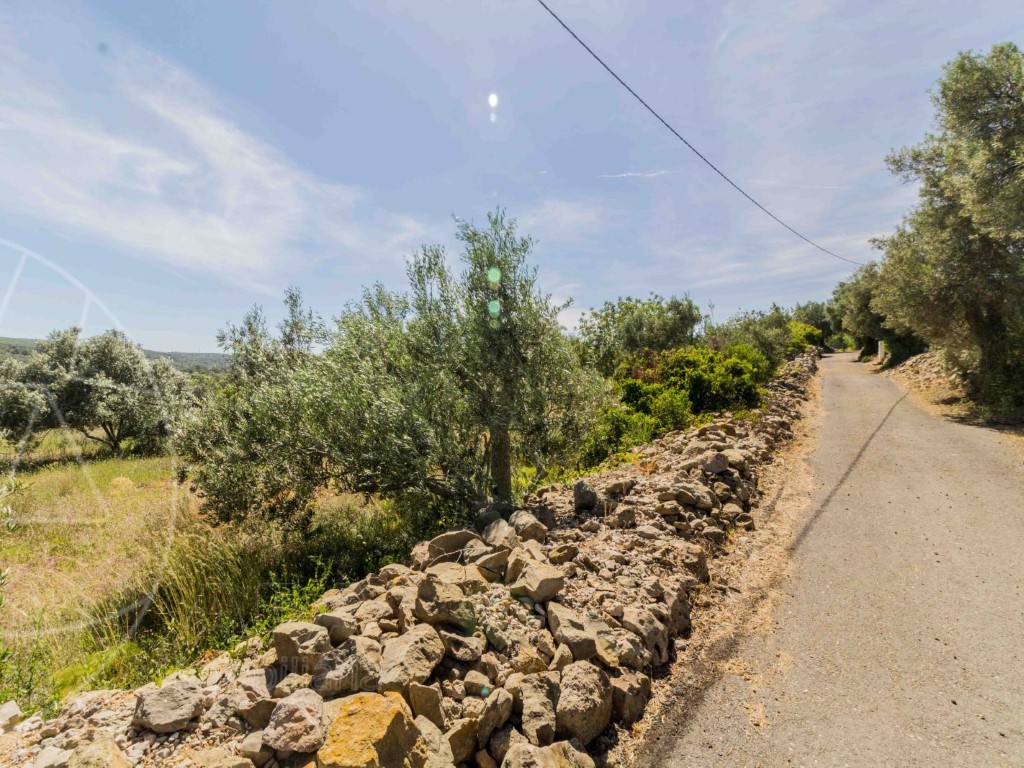 Rural Land_for_sale_in_Loulé_SMA8915