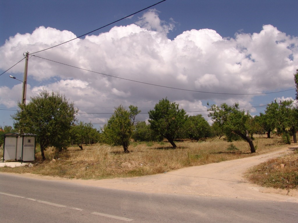 Rural Land_for_sale_in_Olhão_SMA8922