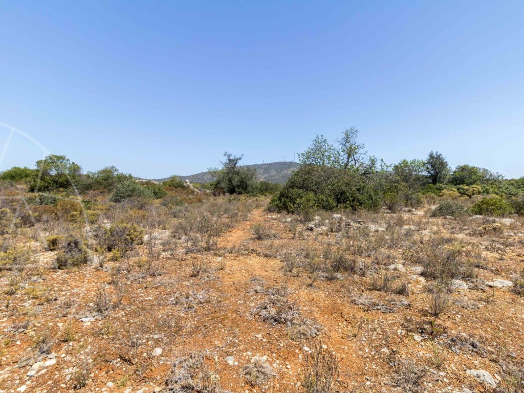 Rural Land_for_sale_in_Olhão_SMA8923