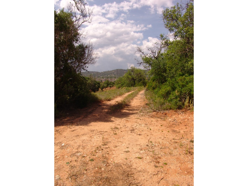 Rural Land_for_sale_in_Faro_SMA8934