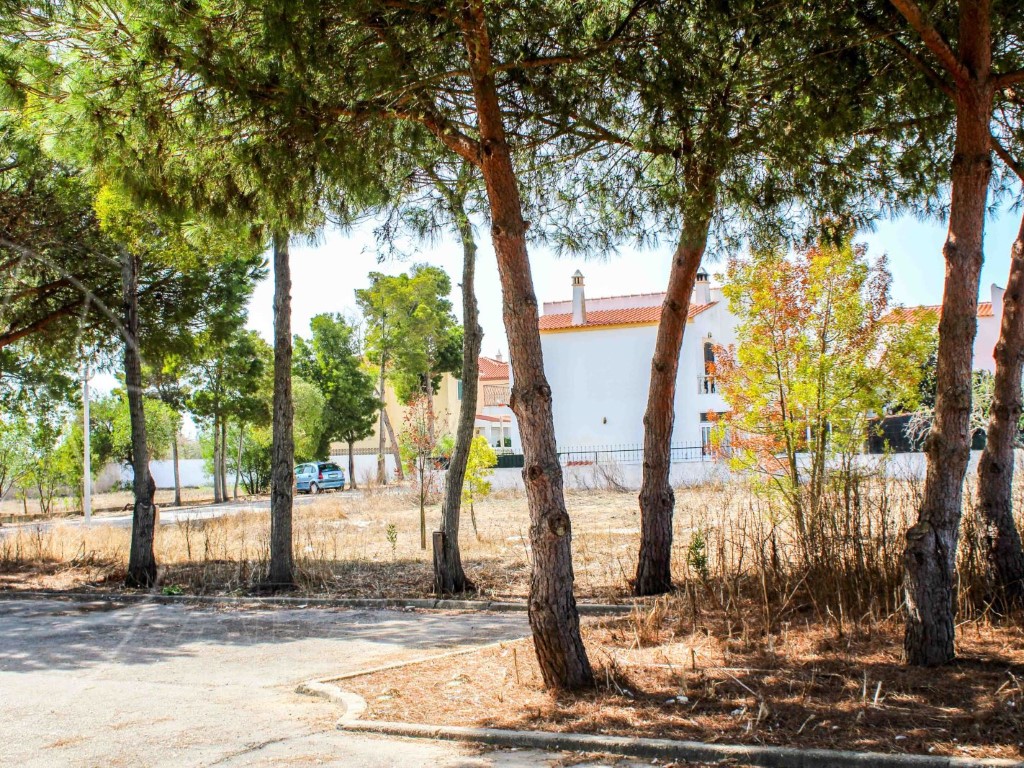 Plot_for_sale_in_Olhão_SMA9017